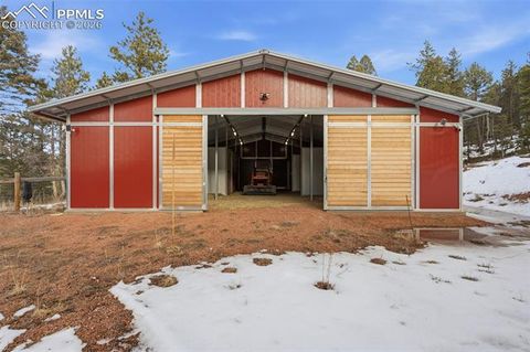 Tiny photo for 1910 Wildhorn Road, Florissant, CO 80816 (MLS # 4927724)