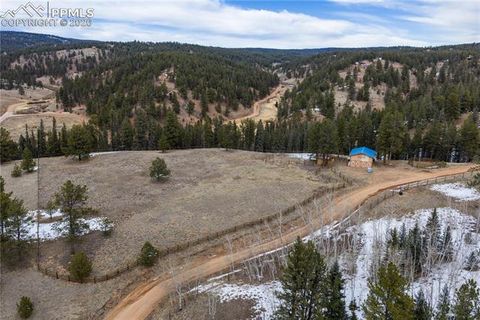 Tiny photo for 1910 Wildhorn Road, Florissant, CO 80816 (MLS # 4927724)