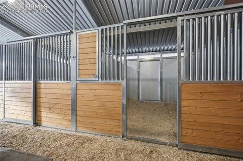 Tiny photo for 1910 Wildhorn Road, Florissant, CO 80816 (MLS # 4927724)