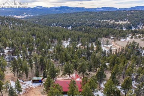Tiny photo for 1910 Wildhorn Road, Florissant, CO 80816 (MLS # 4927724)
