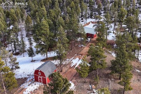 Tiny photo for 1910 Wildhorn Road, Florissant, CO 80816 (MLS # 4927724)