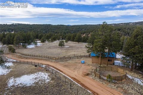 Tiny photo for 1910 Wildhorn Road, Florissant, CO 80816 (MLS # 4927724)