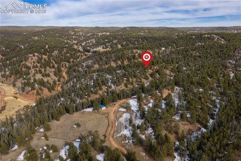 Tiny photo for 1910 Wildhorn Road, Florissant, CO 80816 (MLS # 4927724)
