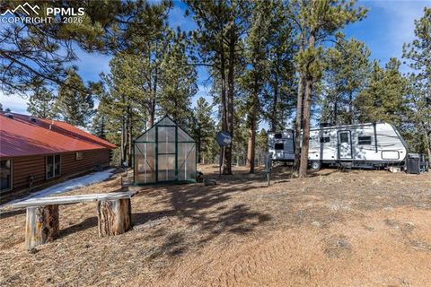 Tiny photo for 1910 Wildhorn Road, Florissant, CO 80816 (MLS # 4927724)