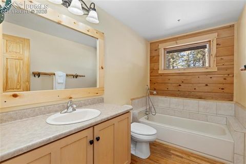 Tiny photo for 1910 Wildhorn Road, Florissant, CO 80816 (MLS # 4927724)