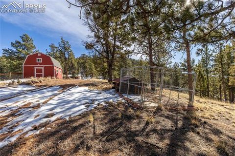 Tiny photo for 1910 Wildhorn Road, Florissant, CO 80816 (MLS # 4927724)