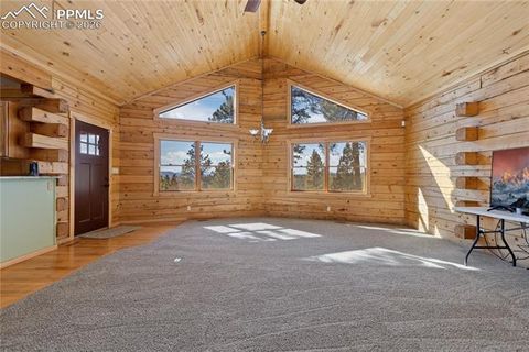 Tiny photo for 1910 Wildhorn Road, Florissant, CO 80816 (MLS # 4927724)