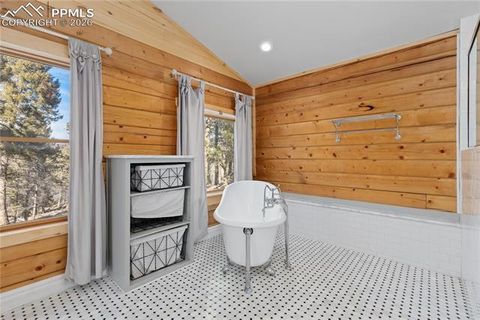 Tiny photo for 1910 Wildhorn Road, Florissant, CO 80816 (MLS # 4927724)