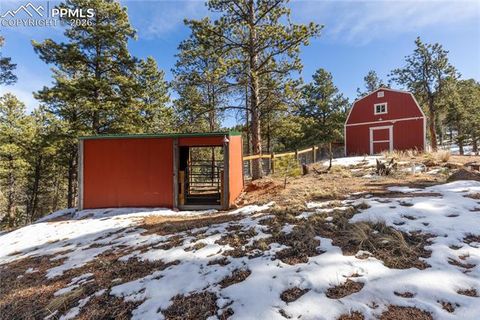Tiny photo for 1910 Wildhorn Road, Florissant, CO 80816 (MLS # 4927724)