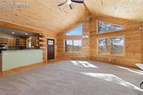 Tiny photo for 1910 Wildhorn Road, Florissant, CO 80816 (MLS # 4927724)