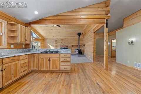 Tiny photo for 1910 Wildhorn Road, Florissant, CO 80816 (MLS # 4927724)