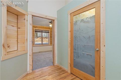 Tiny photo for 1910 Wildhorn Road, Florissant, CO 80816 (MLS # 4927724)