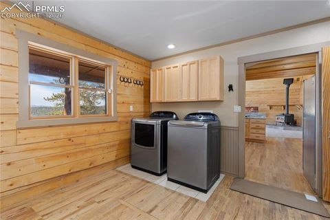 Tiny photo for 1910 Wildhorn Road, Florissant, CO 80816 (MLS # 4927724)