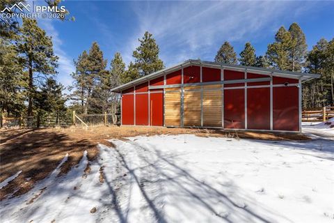 Tiny photo for 1910 Wildhorn Road, Florissant, CO 80816 (MLS # 4927724)