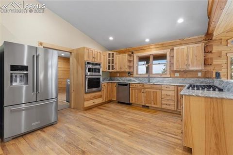 Tiny photo for 1910 Wildhorn Road, Florissant, CO 80816 (MLS # 4927724)