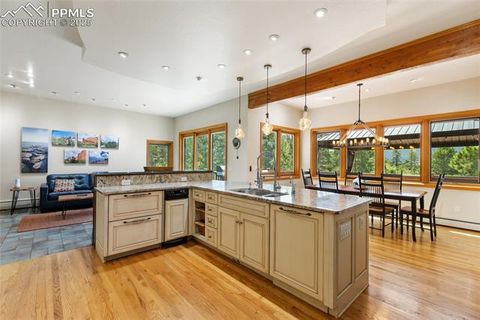 Tiny photo for 580 Sunny Glen Court, Woodland Park, CO 80863 (MLS # 8276922)