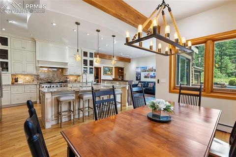 Tiny photo for 580 Sunny Glen Court, Woodland Park, CO 80863 (MLS # 8276922)