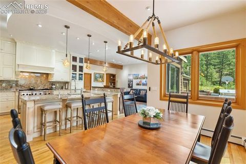 Tiny photo for 580 Sunny Glen Court, Woodland Park, CO 80863 (MLS # 8276922)
