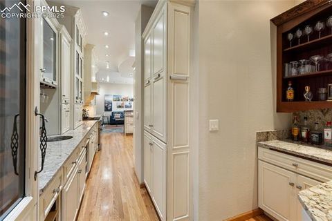 Tiny photo for 580 Sunny Glen Court, Woodland Park, CO 80863 (MLS # 8276922)