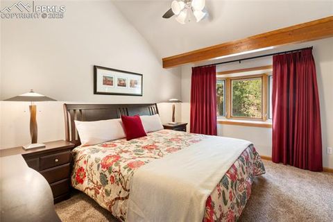 Tiny photo for 580 Sunny Glen Court, Woodland Park, CO 80863 (MLS # 8276922)