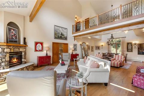 Tiny photo for 580 Sunny Glen Court, Woodland Park, CO 80863 (MLS # 8276922)