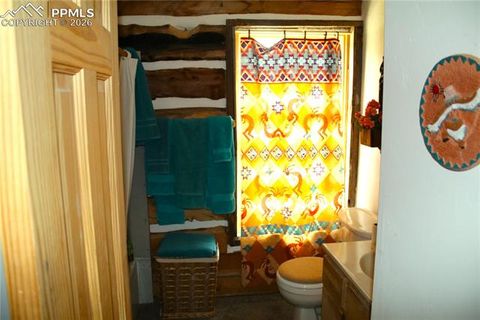 Tiny photo for 340 County Road 90, Lake George, CO 80827 (MLS # 4707398)