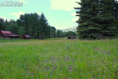 Tiny photo for 340 County Road 90, Lake George, CO 80827 (MLS # 4707398)