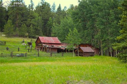Tiny photo for 340 County Road 90, Lake George, CO 80827 (MLS # 4707398)