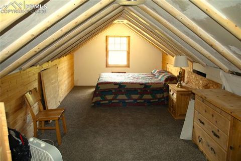 Tiny photo for 340 County Road 90, Lake George, CO 80827 (MLS # 4707398)