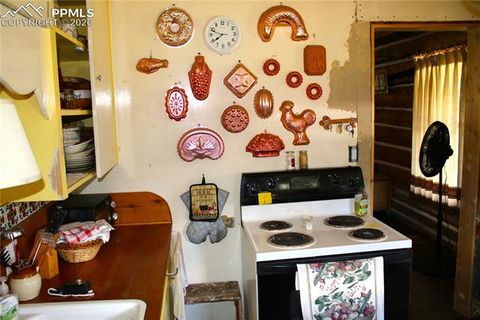 Tiny photo for 340 County Road 90, Lake George, CO 80827 (MLS # 4707398)