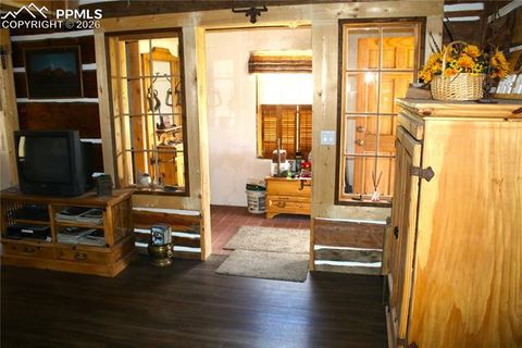 Tiny photo for 340 County Road 90, Lake George, CO 80827 (MLS # 4707398)