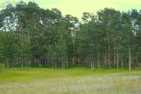 Tiny photo for 340 County Road 90, Lake George, CO 80827 (MLS # 4707398)
