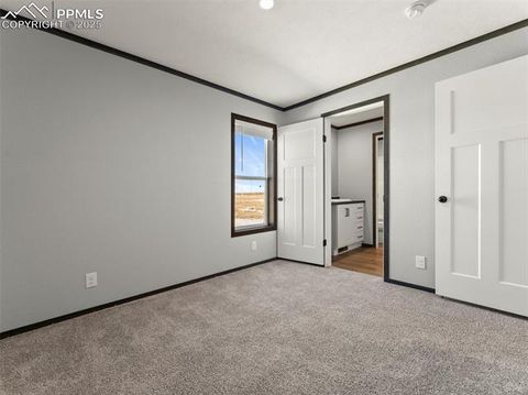 Tiny photo for 17881 County Road 2, Rush, CO 80833 (MLS # 8407496)