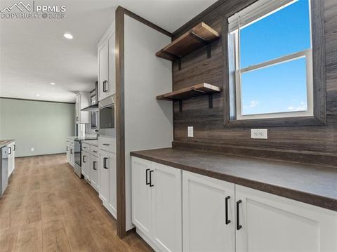 Tiny photo for 17881 County Road 2, Rush, CO 80833 (MLS # 8407496)