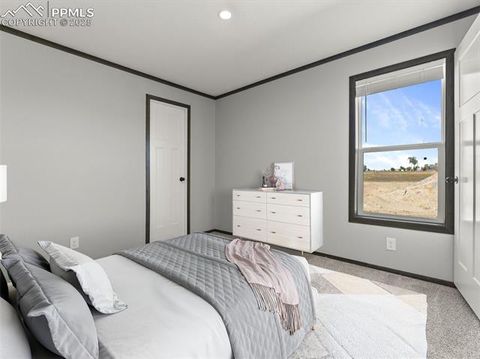 Tiny photo for 17881 County Road 2, Rush, CO 80833 (MLS # 8407496)