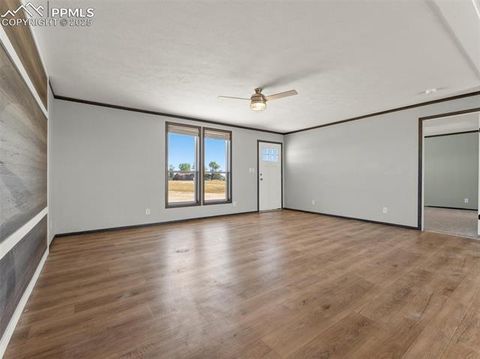 Tiny photo for 17881 County Road 2, Rush, CO 80833 (MLS # 8407496)