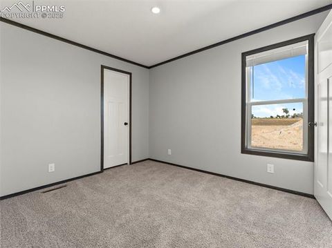 Tiny photo for 17881 County Road 2, Rush, CO 80833 (MLS # 8407496)