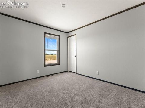 Tiny photo for 17881 County Road 2, Rush, CO 80833 (MLS # 8407496)