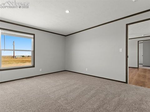 Tiny photo for 17881 County Road 2, Rush, CO 80833 (MLS # 8407496)