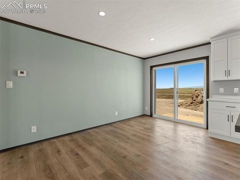 Tiny photo for 17881 County Road 2, Rush, CO 80833 (MLS # 8407496)