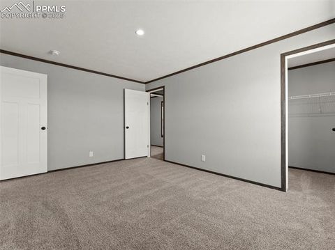 Tiny photo for 17881 County Road 2, Rush, CO 80833 (MLS # 8407496)