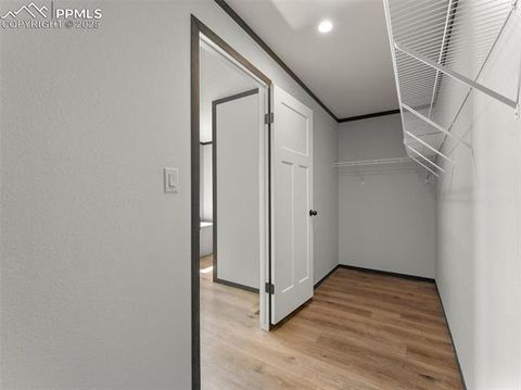 Tiny photo for 17881 County Road 2, Rush, CO 80833 (MLS # 8407496)