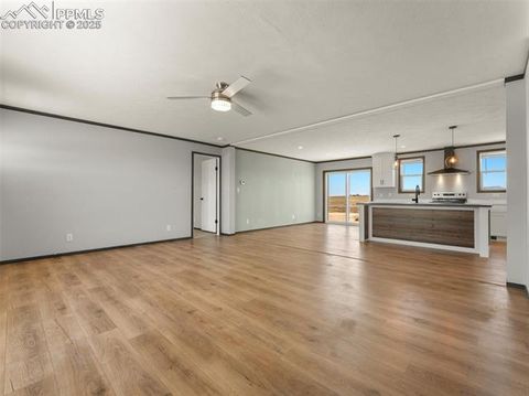 Tiny photo for 17881 County Road 2, Rush, CO 80833 (MLS # 8407496)