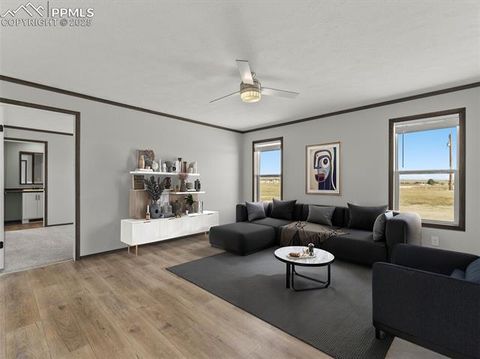 Tiny photo for 17881 County Road 2, Rush, CO 80833 (MLS # 8407496)