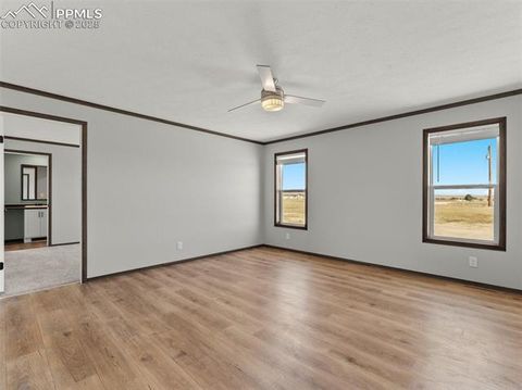 Tiny photo for 17881 County Road 2, Rush, CO 80833 (MLS # 8407496)