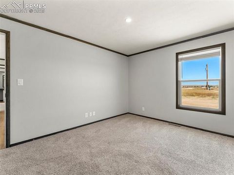 Tiny photo for 17881 County Road 2, Rush, CO 80833 (MLS # 8407496)