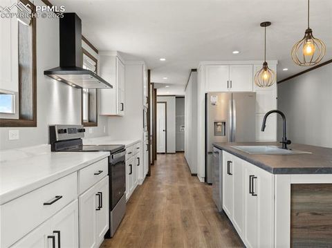 Tiny photo for 17881 County Road 2, Rush, CO 80833 (MLS # 8407496)