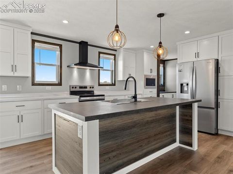 Tiny photo for 17881 County Road 2, Rush, CO 80833 (MLS # 8407496)