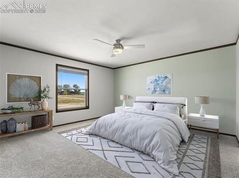 Tiny photo for 17881 County Road 2, Rush, CO 80833 (MLS # 8407496)