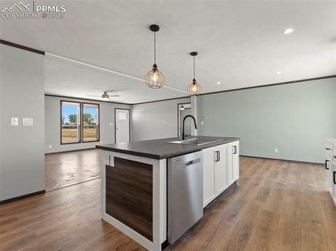 Tiny photo for 17881 County Road 2, Rush, CO 80833 (MLS # 8407496)